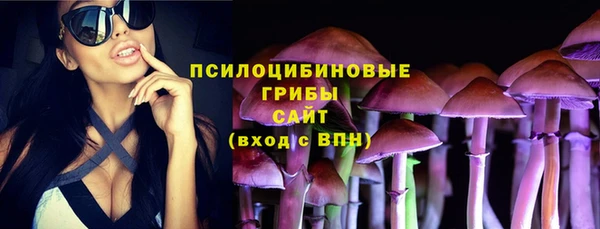 дживик Лабытнанги