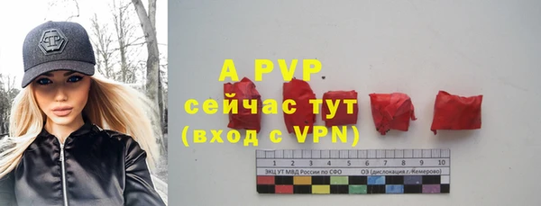 дживик Лабытнанги