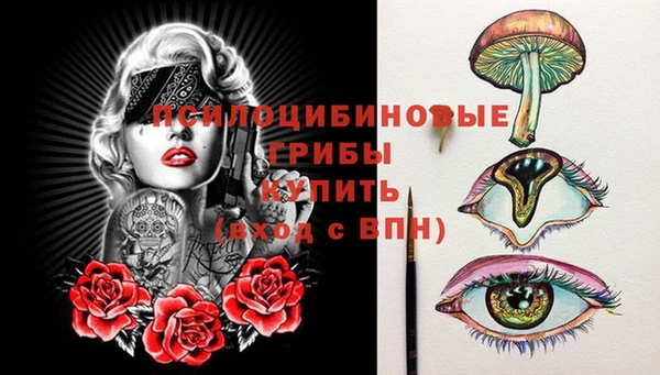 дживик Лабытнанги
