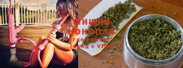 дживик Лабытнанги