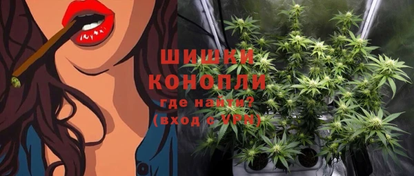 дживик Лабытнанги