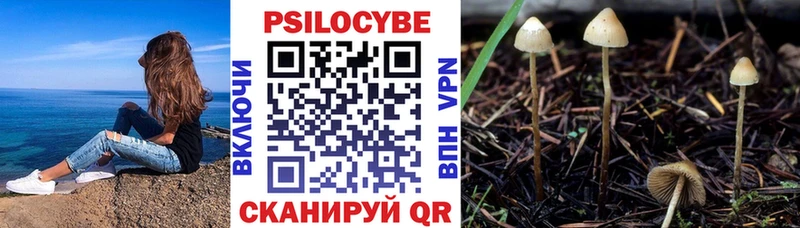 MEGA ссылка Нефтеюганск Галлюциногенные грибы Psilocybine cubensis дарнет шоп